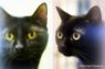 . Susie & Samuel-âWe need to go home together!â .