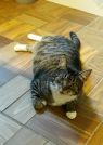 . Myrtle- special needs allergies..w/kw .
