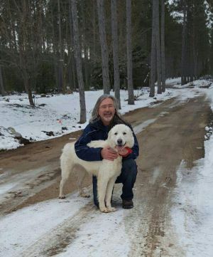 . Annie - Adopted! .