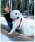 . Cooper - Adopted! .