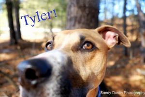 . Tyler .