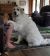 . Piper - Adoption Pending! .