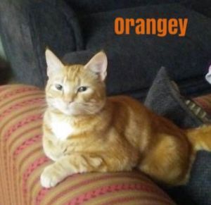 . Otis .