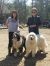 . Tuck and Koda - Adoption Pending! .