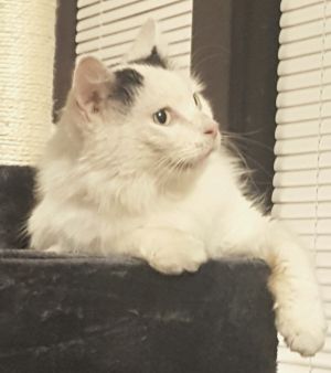 . Ezra .