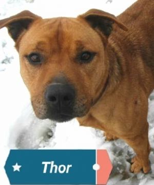 . Thor and Princess .