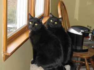 . Max and Dee .