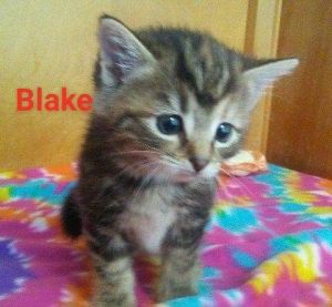 . Blake .