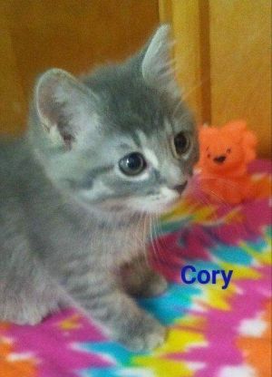 . Cory .