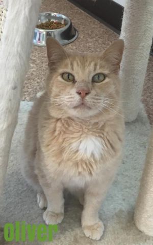 . Oliver "Ollie" .