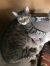 . Beloved Reno the Sweetest .