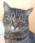 . Beloved Reno the Sweetest .