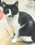 . Beethoven - CUDDLE BUG! .