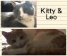 . Kitty and Leo .