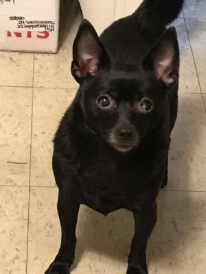 . Bella .