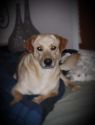 . Roscoe .