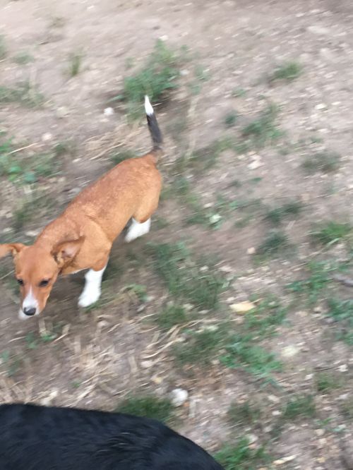 . Roo .