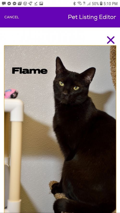 . Flame .