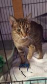 . SUNNY (female) .