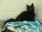 . Nyx (a teenager) .