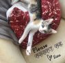 . Luna (bonded with Zoe) .