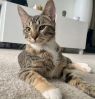. Zoe (bonded with Luna) .