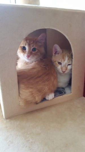 . SNUGGGLES & SANDERS .
